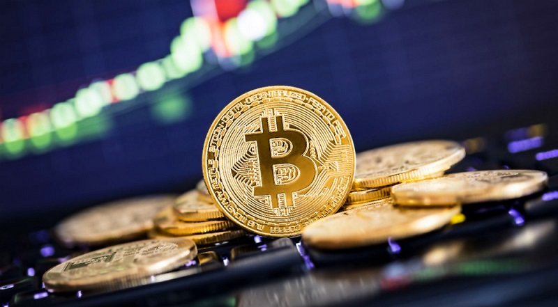 Bitcoin Casino Net Bitcoin Casino Net